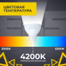 Лампа EKS MR16, GU10, 10 Вт, 850ЛМ, 4200K