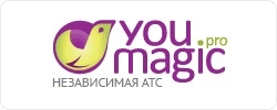 Виртуальная АТС YouMagic.Pro. ТП «Прямой»: 1 городской номер Нижнего Новгорода + 1 городской номер 1